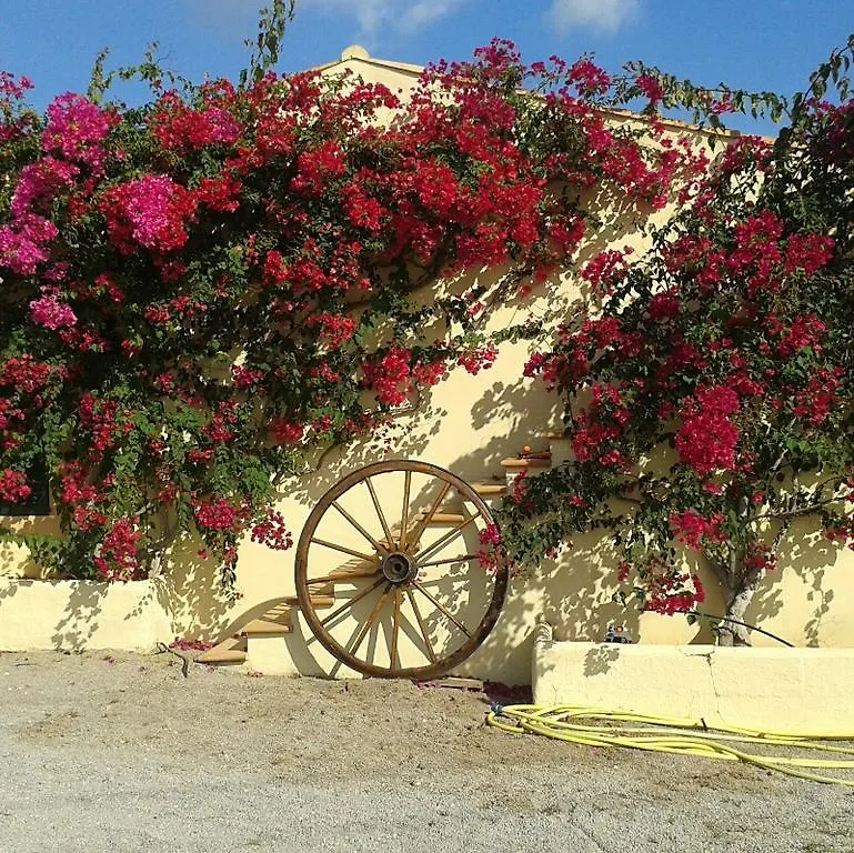 Farm stay Agroturisme S' Horta Villa Capdepera  Spain