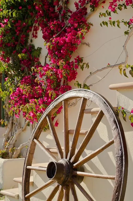 Farm stay Agroturisme S' Horta Villa Capdepera  Spain